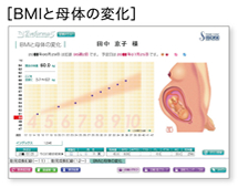 BMIと母体の変化