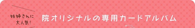 院オリジナルの専用カードアルバム