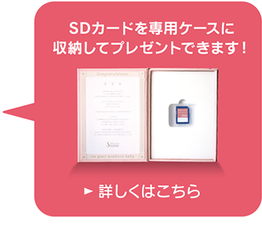 専用ケースはこちら