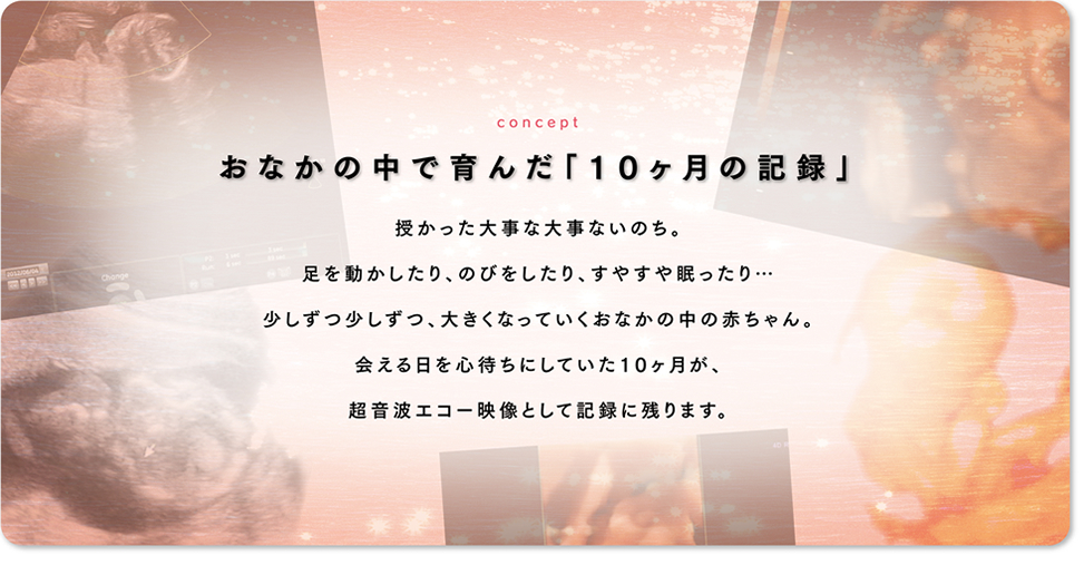 お腹の中で育んだ「10ヶ月の記憶」