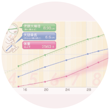 キレイなグラフ表示